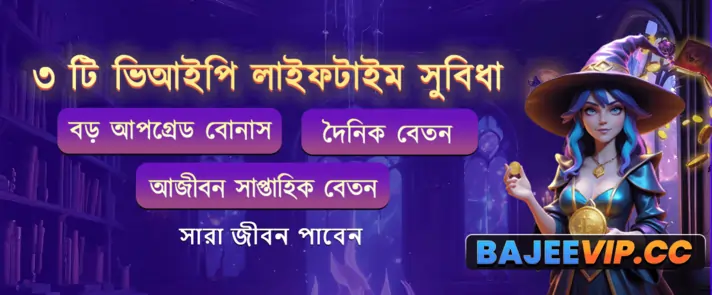 VIPBajee